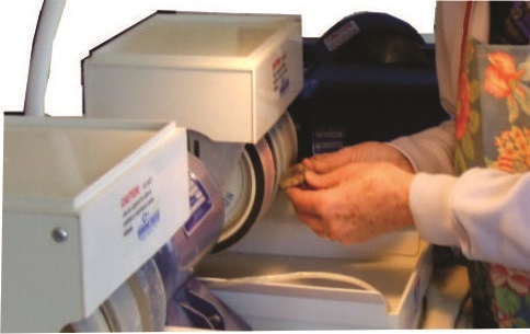 Polishing Stone
