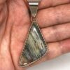 Petrified Wood Pendant From the Cholla Tree