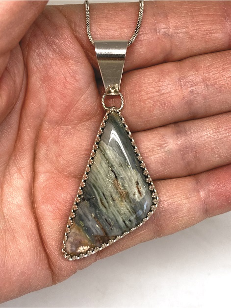 Petrified Wood Pendant From the Cholla Tree