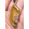 Fossilized Coral Pendant