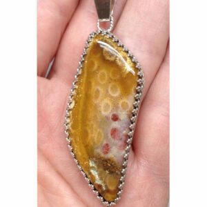 Fossilized Coral Pendant