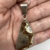 Brown Fossilized Coral Pendant