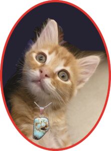 Ginger Our Assistant