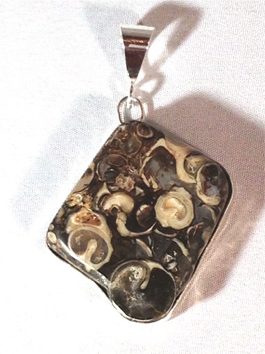 Fossilized Coral Pendant Follows shape