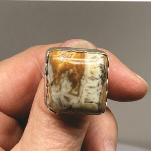 Tan and Brown Dendrite Ring