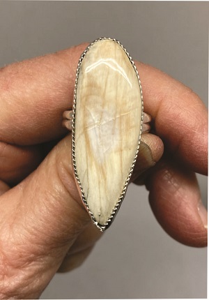 Real Nevada Petrified Wood Ring