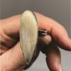 Petrified Wood Ring Tan
