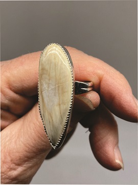 Petrified Wood Ring Tan
