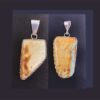 Blue and Brown Turquoise Pendants Group G