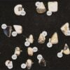 White Buffalo Turquoise Ring Group