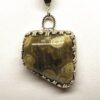 Brown Fossilized Coral Pendant