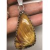Tigers' Eye Pendant Brown A