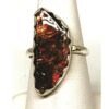Red Ammonite Ring