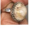 Opal Ring White B