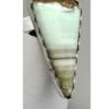 Variscite Ring Green C