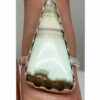 Variscite Ring Green C