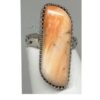 Spiney Oyster Ring Orange D SOLD