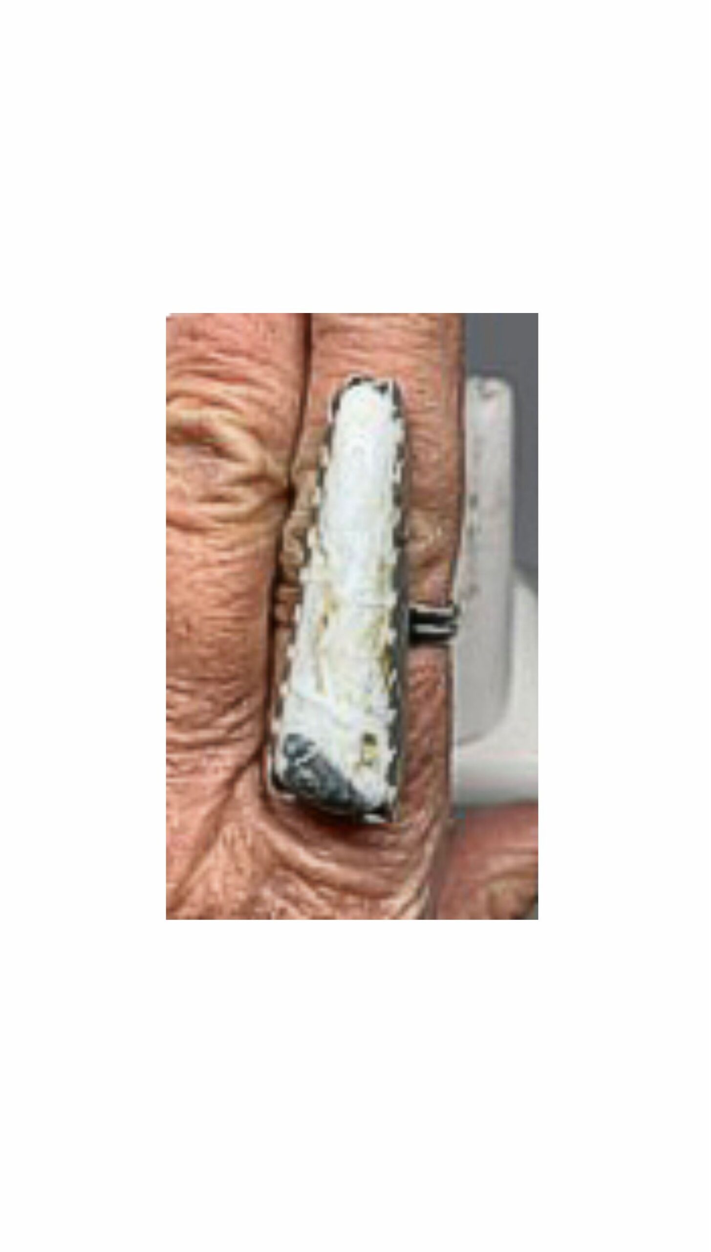 Ring, White Buffalo, Sterling